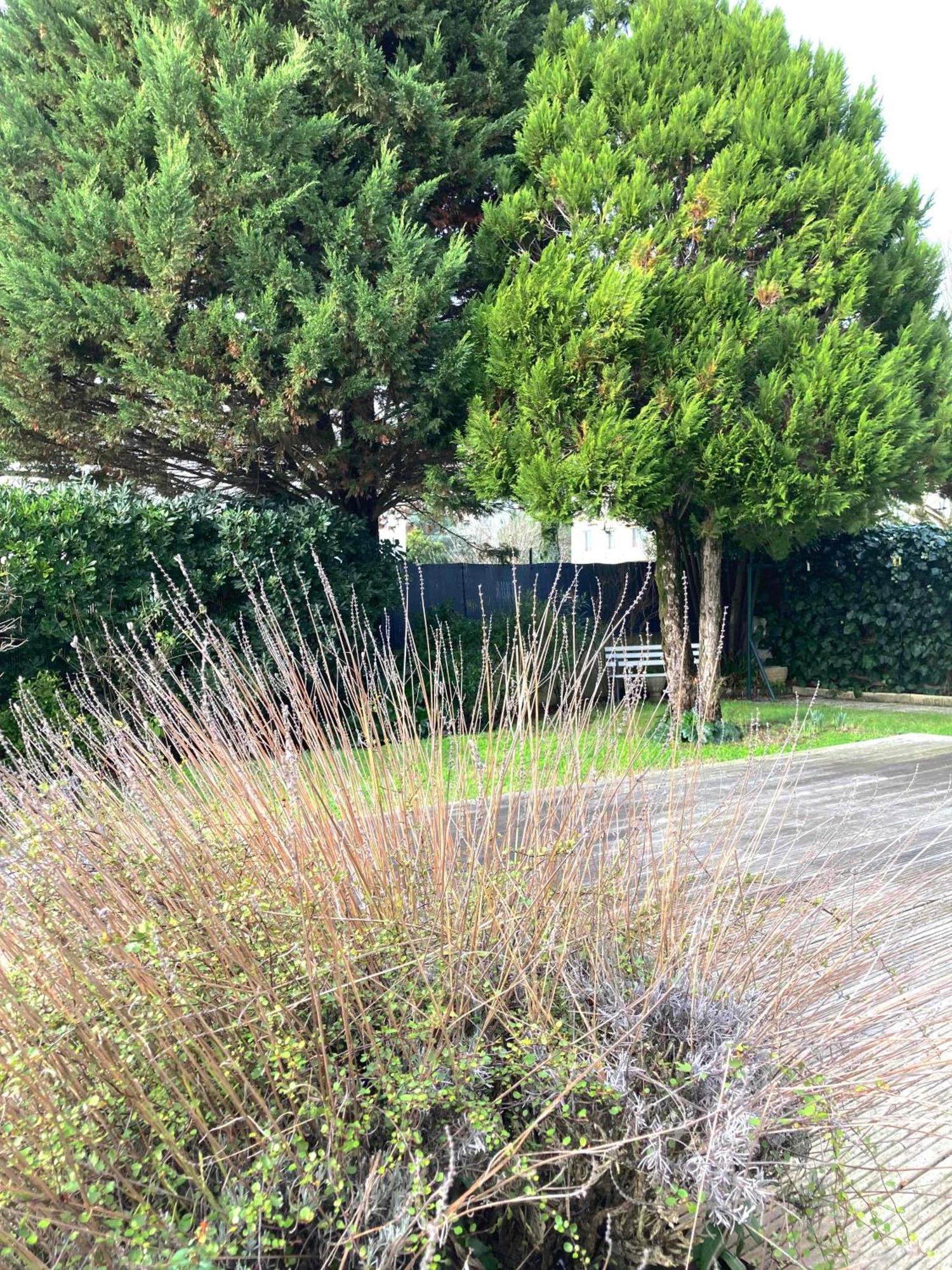 Maison Centre Ville Avec Jardin , Terrasse, Et Garage Velos La Rochelle  Zewnętrze zdjęcie